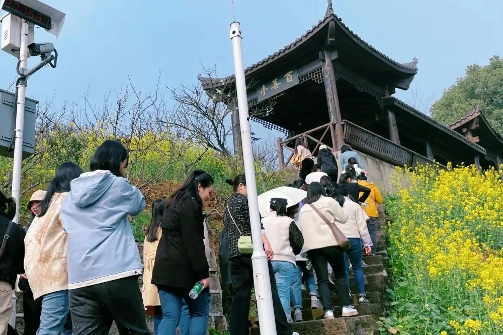 献礼3.8节|勇做攀登者，奋进新未来