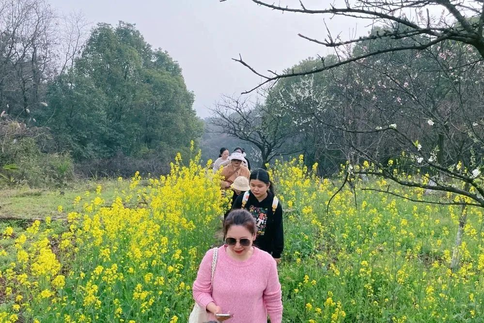 献礼3.8节|勇做攀登者，奋进新未来