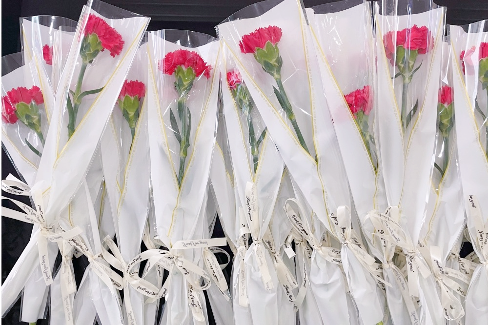 献礼3.8节|勇做攀登者，奋进新未来