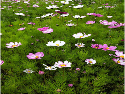 智邦集团红色之旅第二季华哥队活动报道