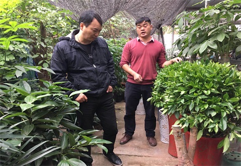 厉行节约 亲临市场