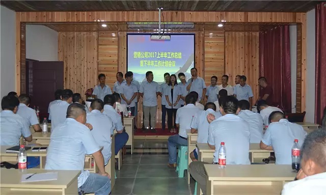 重庆智邦工程机械（集团）营销公司2017上半年度工作会议